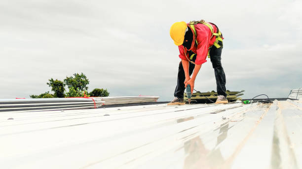 Best Rubber Roofing (EPDM, TPO)  in Ben Avon, SC