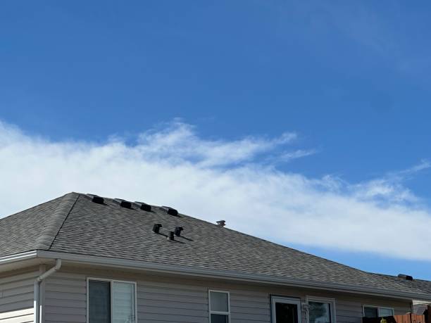 Best Roof Insulation Installation  in Ben Avon, SC