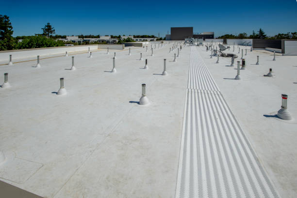 Best Roof Ventilation Installation  in Ben Avon, SC